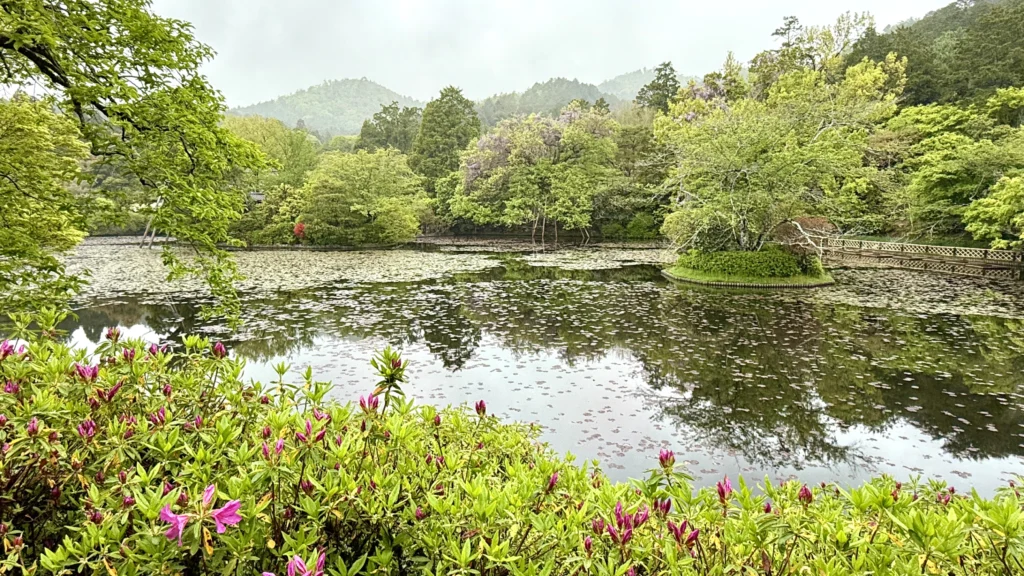 Landschaftsgarten und Teich Ryoanji, Kyoto in Japan.